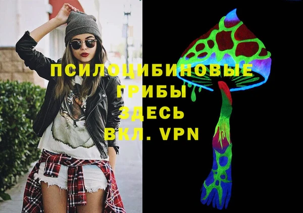 гашик Алексеевка