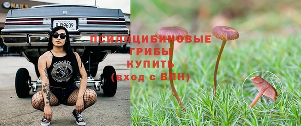 дурь Алзамай
