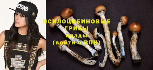 дурь Алзамай