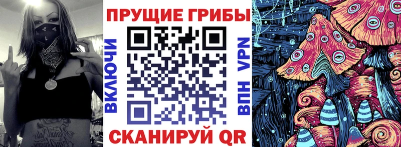 дарнет шоп  Кемь  Псилоцибиновые грибы мицелий 